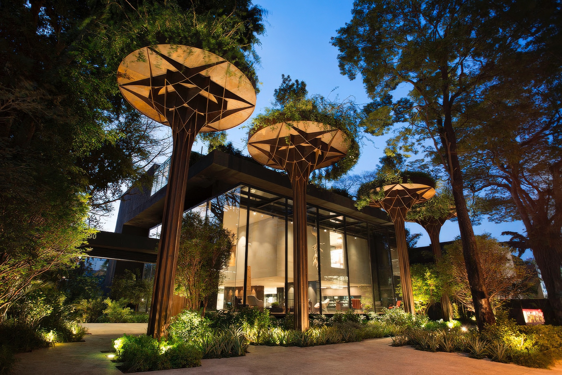 Florense Gabriel Monteiro – House Plants